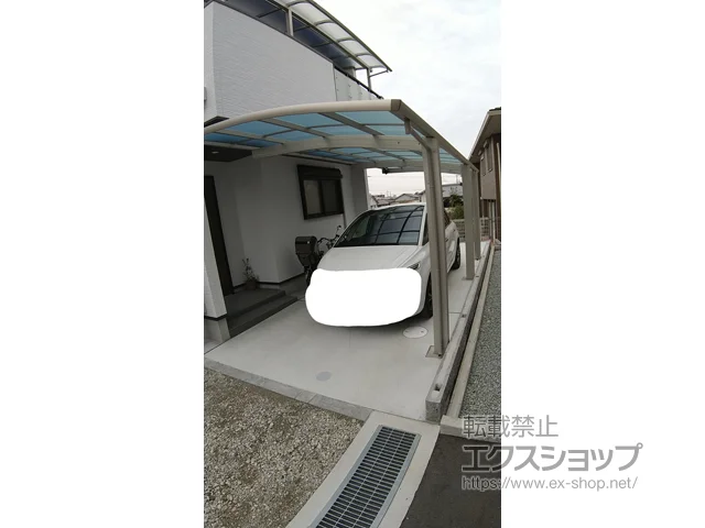 Ɍˎŝ̃J[|[gAoRj[Ex_ Ci|[gO @ϐ`20cmΉ {H