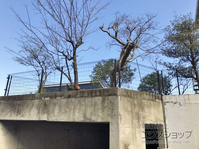 _ސ쌧sYKKAP̃tFXEE C[lbgtFX1F^ R{H {H