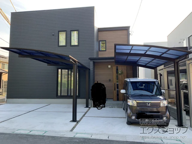 �啪���啪�s��Value Select�̃J�[�|�[�g �v���V�I�X�|�[�g Y���� �ϐ�`20cm�Ή� �{�H��