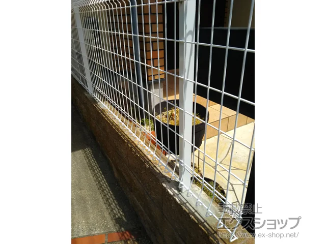 ���Ɍ����{�s�̐ϐ�����(�Z�L�X�C)�̃t�F���X�E��E�� ���b�V���t�F���X G10-R ���R�� �{�H��