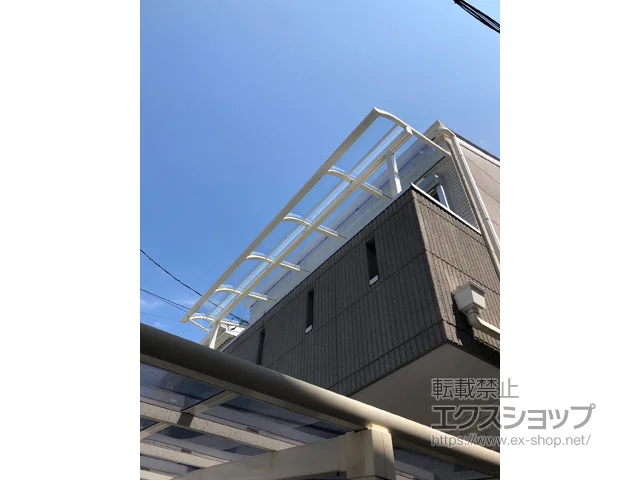 {ɒOŝ̃J[|[gAoRj[Ex_ Xs[l R^ ^Cv P ϐ`20cmΉ {H