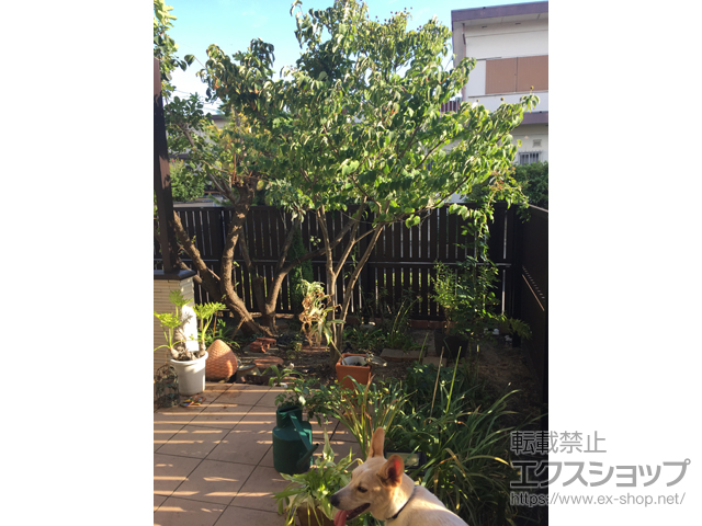 京都府京田辺市ののフェンス・柵 ルシアスフェンスH01型 たて板格子 自由柱施工 施工例
