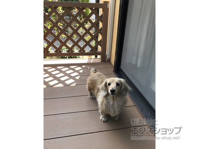 神奈川県横浜市ののウッドデッキ マージウッドデッキ＋マージウッドデッキ ステップ Sタイプ(2段)×1セット 施工例