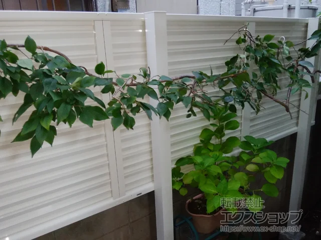 �����s�������Value Select�̃t�F���X�E��E�� �~�G�[�l�t�F���X �ډB�����[�o�[�^�C�v 2�i�x�� �������ėp�i�p�l��1�i�j �{�H��