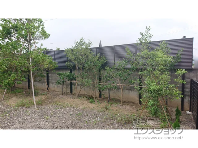 ɒBs̎OA~̃tFXEE Vgi3^@t[x^Cv@ix@ipl1ij {H