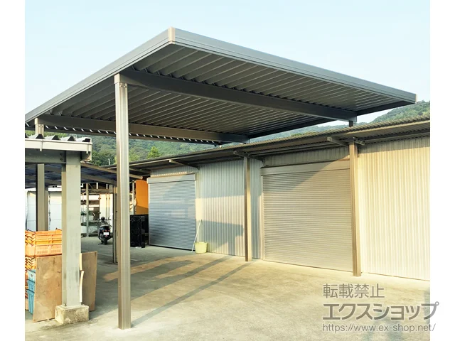 ���m������s��LIXIL ���N�V���i�g�X�e���j�̃J�[�|�[�g �e���I�X�|�[�gIII 900 2��p �p��4�{�� �ϐ�`30cm�Ή� �{�H��