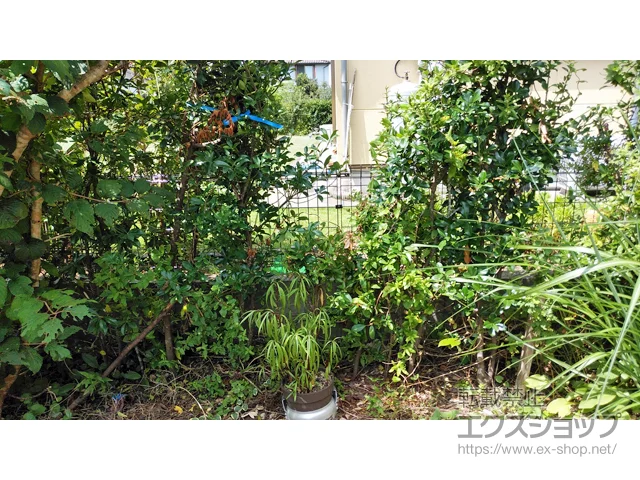 ��t�������ݎs�̐ϐ�����(�Z�L�X�C)�̃t�F���X�E��E�� ���b�V���t�F���X G10-R ���R�� �{�H��