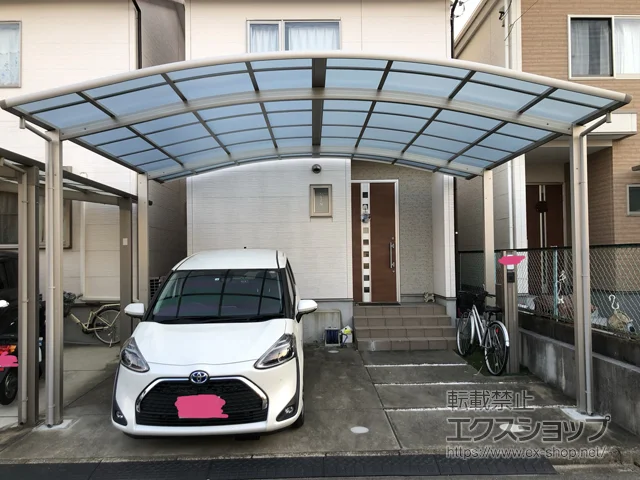 s{vSvRYKKAP̃J[|[g CicC|[gO@ϐ`20cmΉ {H