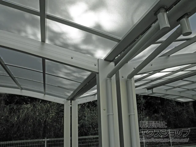 �F�{���e�r�S��Ò���Value Select�̃J�[�|�[�g �v���V�I�X�|�[�g �ϐ�`20cm�Ή� �{�H��