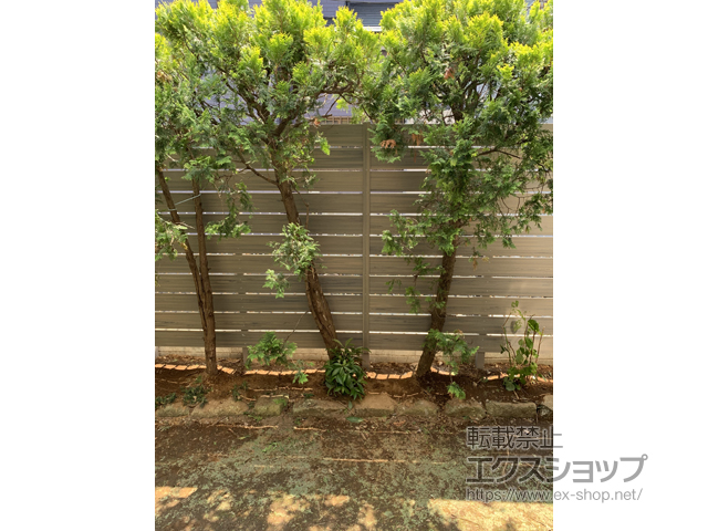 神奈川県藤沢市ののフェンス・柵 プラドフェンス ジョイントあり仕様 隙間10mm 施工例
