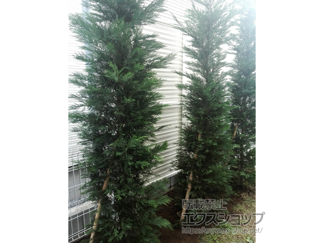 千葉県松戸市ののフェンス・柵 ミエーネフェンス 目隠しルーバータイプ 2段支柱 自立建て用（パネル2段） 施工例