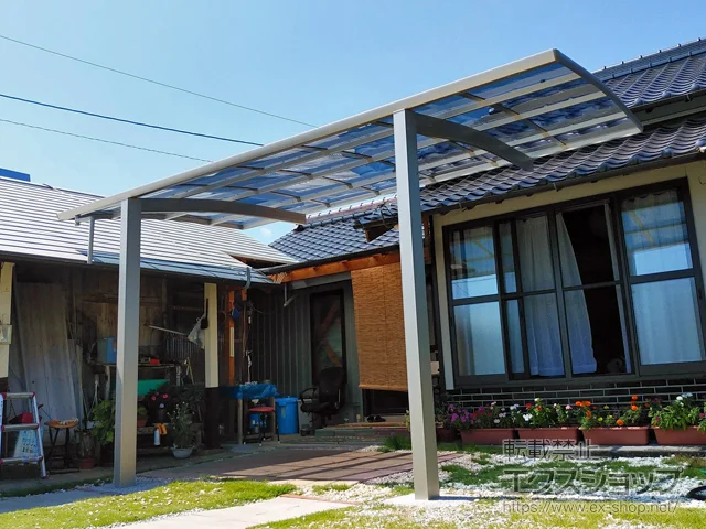 mSl\Value Select̃J[|[g vVIX|[g ϐ`20cmΉ {H