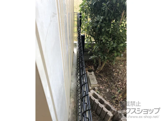 ޗǌkSqLIXIL(NV)̃tFXEE nCObhtFXUF8^@t[|[^Cv {H