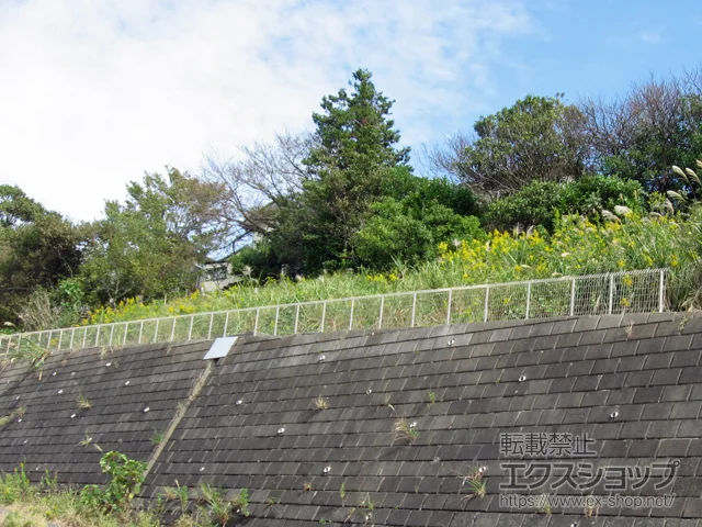 �_�ސ쌧���l�s�̐ϐ�����(�Z�L�X�C)�̃t�F���X�E��E�� ���b�V���t�F���X G10-R ���R�� �{�H��