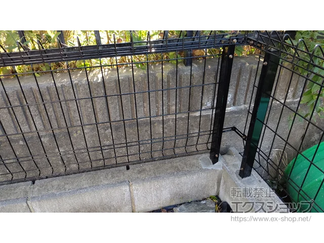 킫ŝ̃tFXEE bVtFXG10-R@R^Cv@yazƃR[i[A@ {H