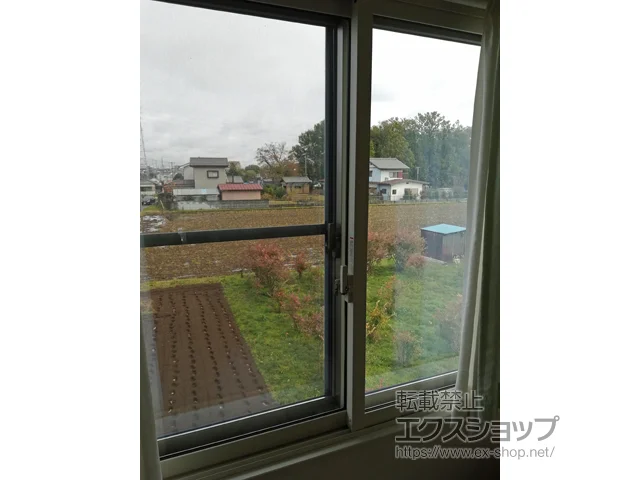 ʌŝ̑Vb^[AidEdTbVj CvX _XgoAdl Ⴂ 2 {H