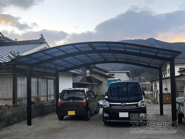 RVsYKKAP̃J[|[g CicC|[gO@ϐ`20cmΉ {H