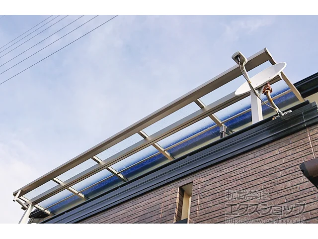 mÉsYKKAP̃oRj[Ex_ \A F^ ^Cv P ϐ`20cmΉ {H