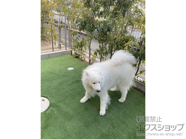 兵庫県芦屋市ののフェンス・柵 ハイグリッドフェンスN8型 フリーポールタイプ 施工例