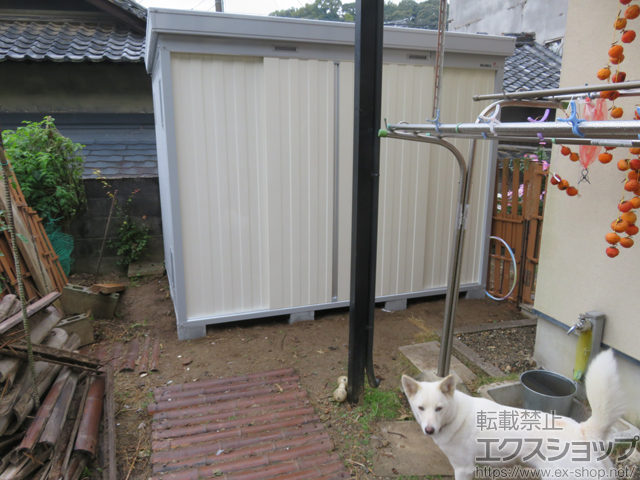 大阪府貝塚市のの物置・屋外倉庫 ネクスタ 一般型 2630×1790×2020（NXN-50S） NXN-50S-FW 施工例