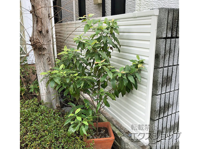 東京都杉並区ののフェンス・柵 ミエーネフェンス 目隠しルーバータイプ 自由柱施工 施工例