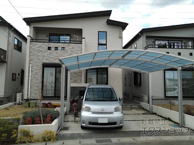 tRsYKKAP̃J[|[g CicC|[gO@ϐ`20cmΉ {H