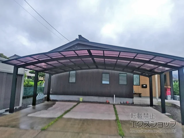 �{�茧�k�����S�O�Ғ���YKKAP�̃J�[�|�[�g ���C�i�g���v���|�[�g�O�����@�ϐ�`20cm�Ή� �{�H��