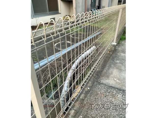 _ˎsYKKAP̃tFXEE bVtFX G10-R R {H