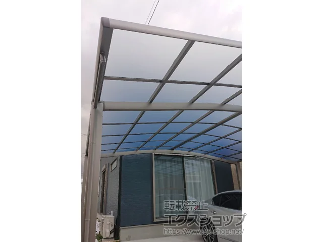 ʌzJsLIXIL(NV)̃J[|[g lXJR (EhX^C) Ch ϐ`20cmΉ {H