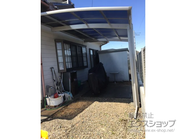 錧}sValue Select̃J[|[g vVIX|[g ϐ`20cmΉ {H