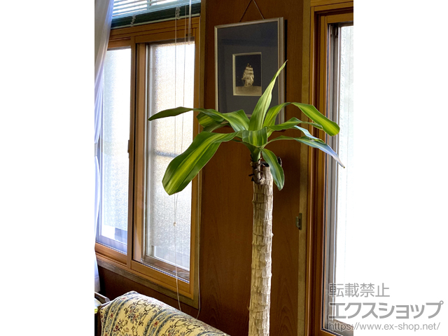 兵庫県姫路市のの二重窓（内窓） インプラス ダストバリア仕様 引違い窓 2枚建 施工例
