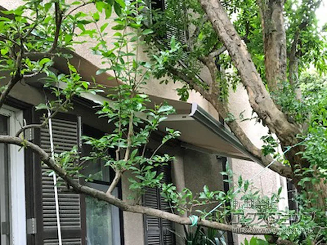 sVhLIXIL NVigXej̃I[jOETVF[hE悯 ʕ ₩ C^ 蓮 {H