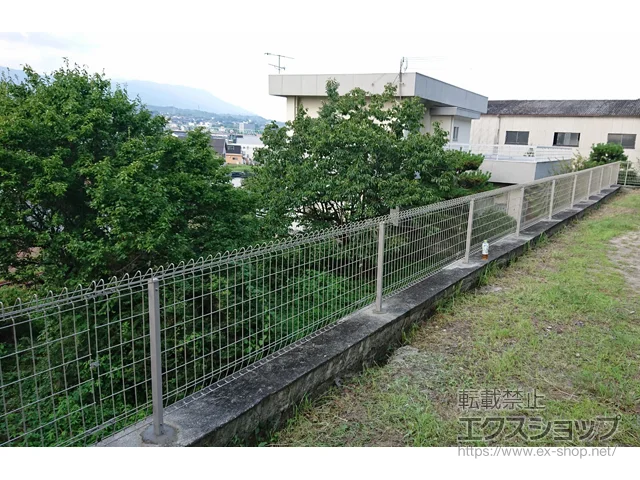 a̎R{s̐ϐ(ZLXC)̃tFXEE bVtFX G10-R R{H {H