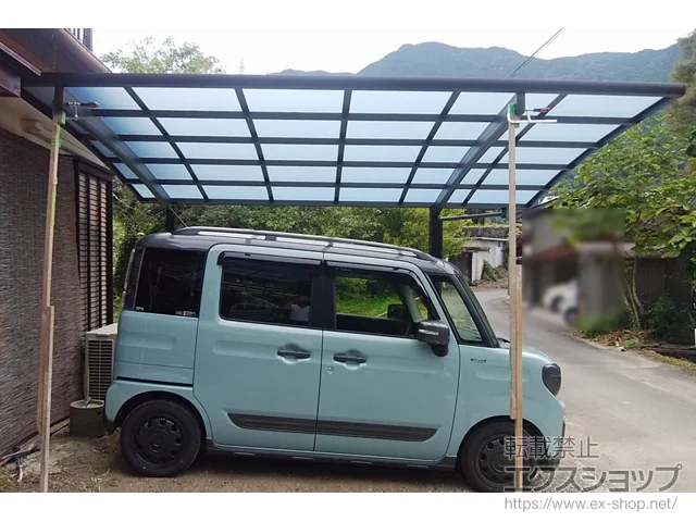 �É����É��s��YKKAP�̃J�[�|�[�g ���C�i�|�[�g�O�����@�ϐ�`20cm�Ή� �{�H��