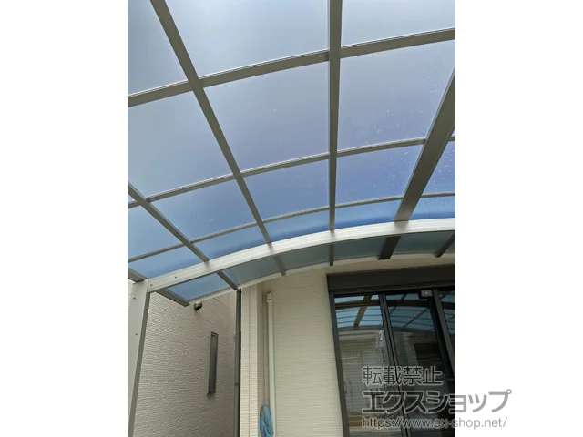 {؎ŝ̃oRj[Ex_AJ[|[g CicC|[gO@ϐ`20cmΉ {H