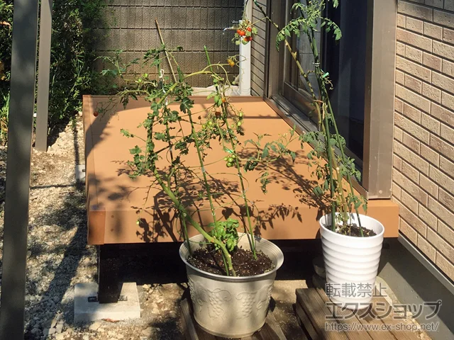 _ސ쌧ɐsValue Select̃EbhfbL }[WEbhfbL {H