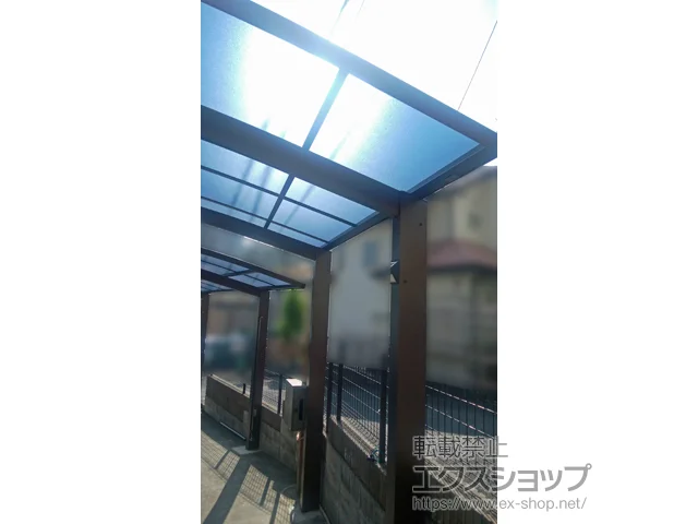 _ސ쌧lsValue Select̃J[|[g vVIX|[g ϐ`20cmΉ {H