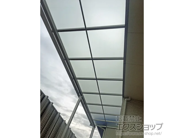 啪啪ŝ̃tFXEEAJ[|[gAeXAEbhfbL \A F^ eX^Cv A ϐ`20cmΉ {H