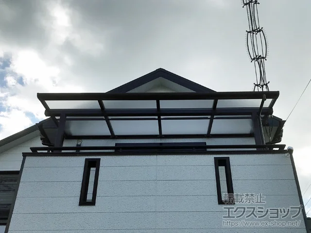 {䎛sYKKAP̃oRj[Ex_ \A F^ ^Cv P ϐ`20cmΉ {H