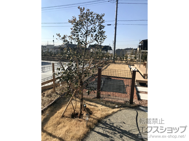 茨城県つくば市ののフェンス・柵 エコリス メッシュパネル（ボックスタイプ） 施工例