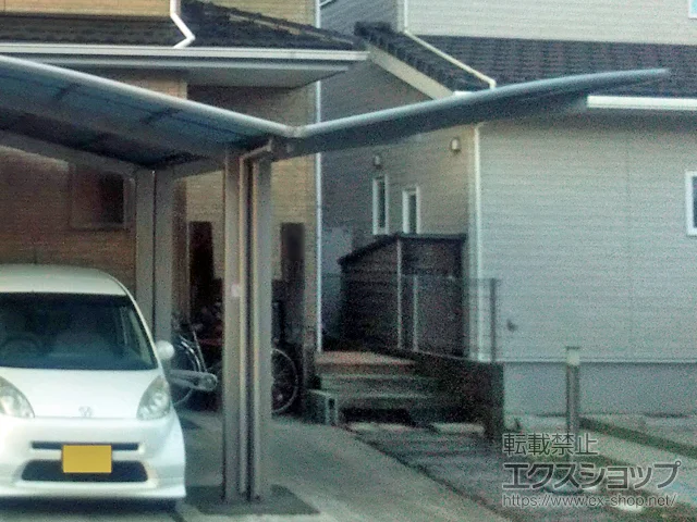 t䑷qŝ̃J[|[g lXJR (EhX^C) ϐ`20cmΉ {H