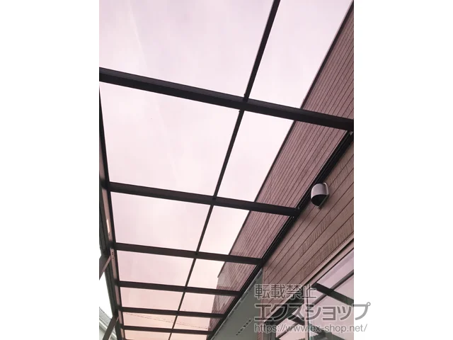 R⍑sYKKAP̃eX \A F^ eX^Cv A ϐ`20cmΉǖʉsႢ[܂ {H