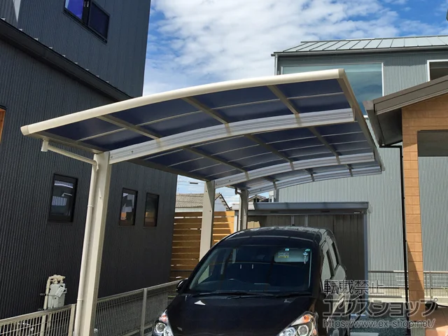 F{F{sYKKAP̃J[|[g Ci|[gO @ϐ`20cmΉ {H