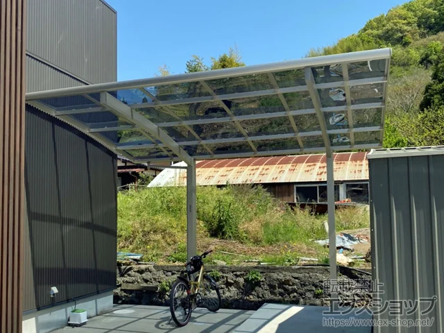 Q\sValue Select̃J[|[g vVIX|[g ϐ`20cmΉ {H