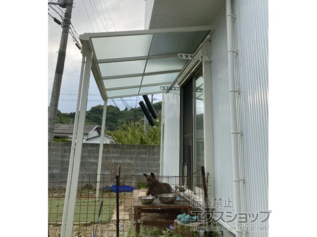 a̎RcӎsYKKAP̃eX \A F^ eX^Cv P ϐ`20cmΉ {H