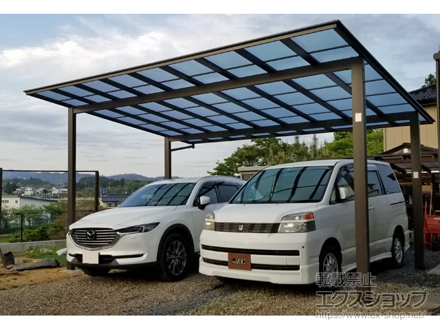 {錧CsValue Select̃J[|[g \bh|[g Ch ϐ`20cmΉ {H