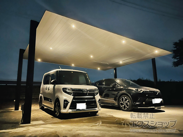 埼玉県春日部市ののカーポート カーポートSCワイド 積雪〜20cm対応 施工例