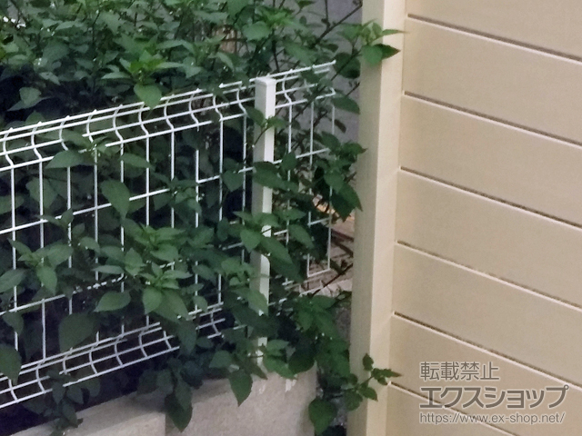東京都足立区ののフェンス・柵 イーネットフェンス 3F型 自由柱施工 施工例