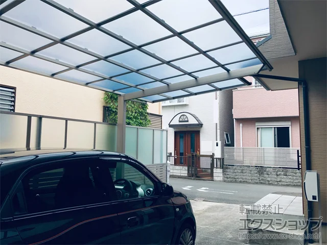 ʌŝ̃tFXEEAJ[|[g t[SF (tbgX^C) ϐ`20cmΉ {H
