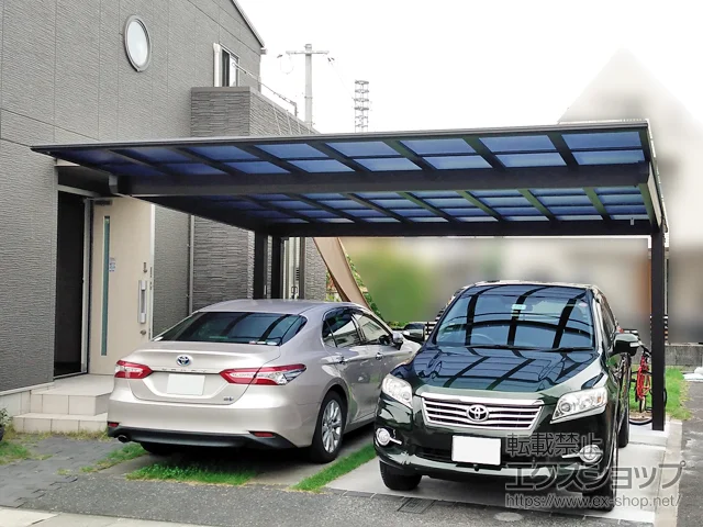 ���R���q�~�s��YKKAP�̃J�[�|�[�g �G�t���[�W���c�C��EX FIRST ����x���^�C�v �ϐ�`20cm�Ή� �{�H��